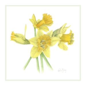 NARCISSUS-February-Gold